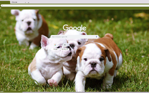 Cho  from Chrome web store to be run with OffiDocs Chromium online