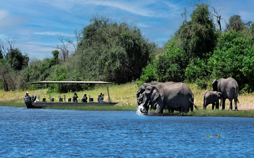 Chobe River  from Chrome web store to be run with OffiDocs Chromium online