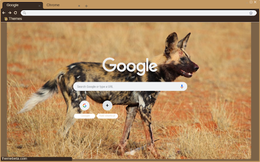 Cho Hoang  from Chrome web store to be run with OffiDocs Chromium online