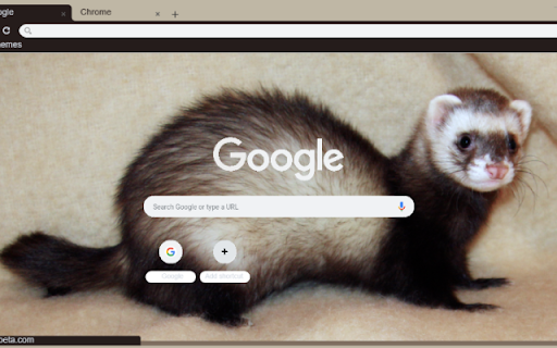 Chon  from Chrome web store to be run with OffiDocs Chromium online