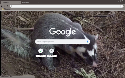 Chon bac ma  from Chrome web store to be run with OffiDocs Chromium online