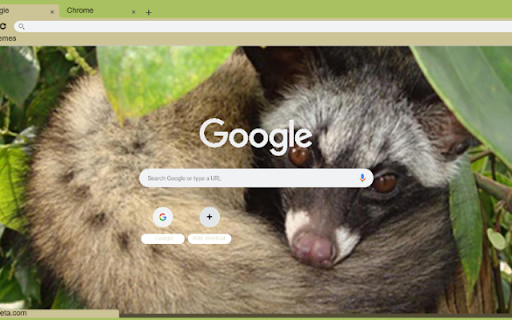 Chon Huong  from Chrome web store to be run with OffiDocs Chromium online