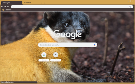 Chon rac  from Chrome web store to be run with OffiDocs Chromium online