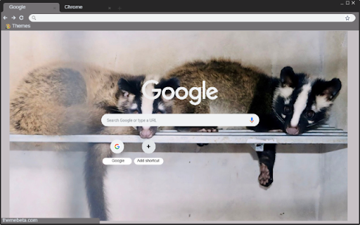 Chon rung  from Chrome web store to be run with OffiDocs Chromium online