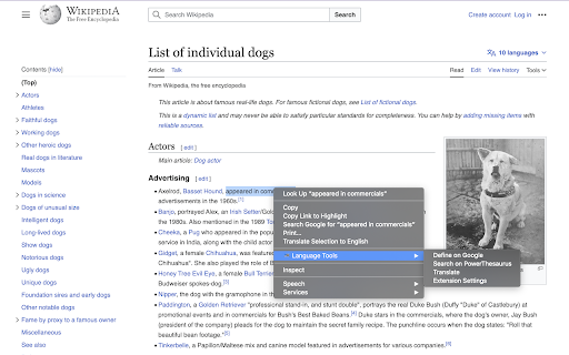 Choose All Languages  from Chrome web store to be run with OffiDocs Chromium online