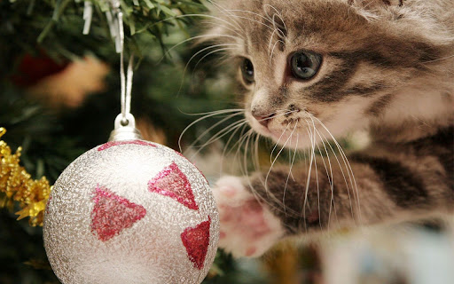 Christmas cute cat theme  from Chrome web store to be run with OffiDocs Chromium online