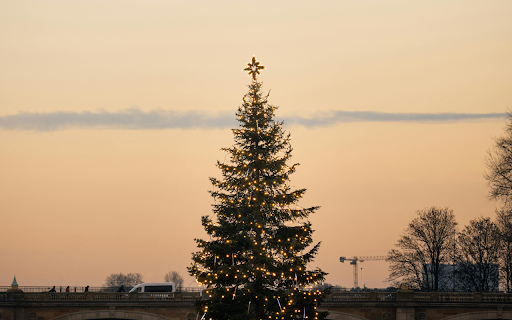 Christmas tree on the river in front of a bridge  from Chrome web store to be run with OffiDocs Chromium online