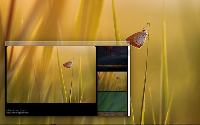 Chrome OS Wallpapers  from Chrome web store to be run with OffiDocs Chromium online