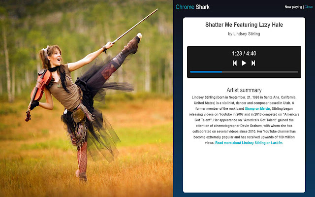Chrome Shark  from Chrome web store to be run with OffiDocs Chromium online