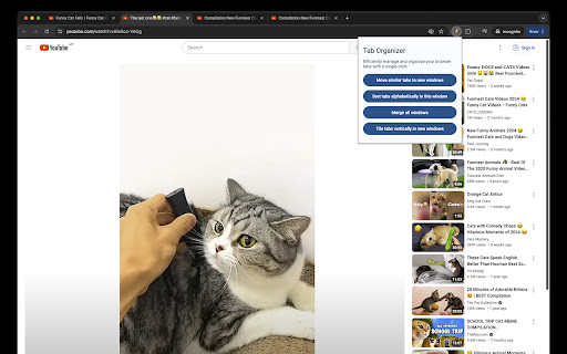 Chrome Tab Organizer  from Chrome web store to be run with OffiDocs Chromium online