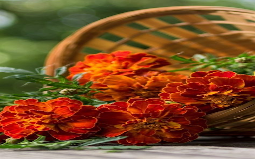 chrysanthemum basket wallpaper  from Chrome web store to be run with OffiDocs Chromium online