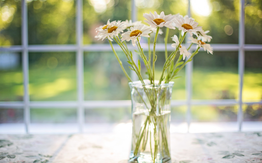 Chrysanthemum vase  from Chrome web store to be run with OffiDocs Chromium online