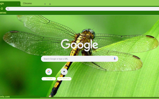 Chuon chuon  from Chrome web store to be run with OffiDocs Chromium online