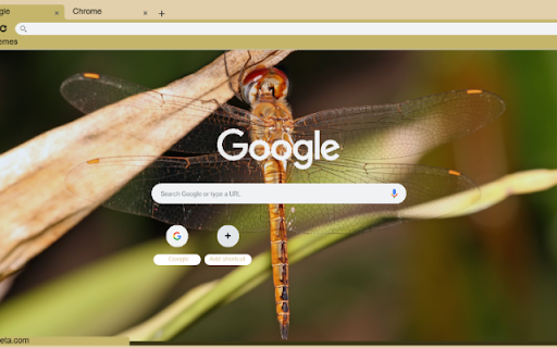 Chuon Vang  from Chrome web store to be run with OffiDocs Chromium online