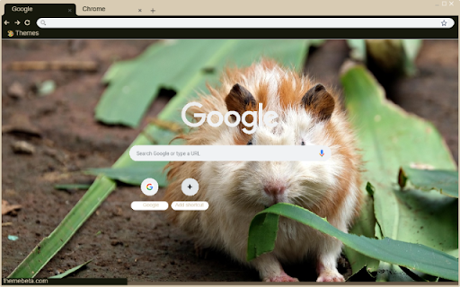 Chuot canh dong  from Chrome web store to be run with OffiDocs Chromium online