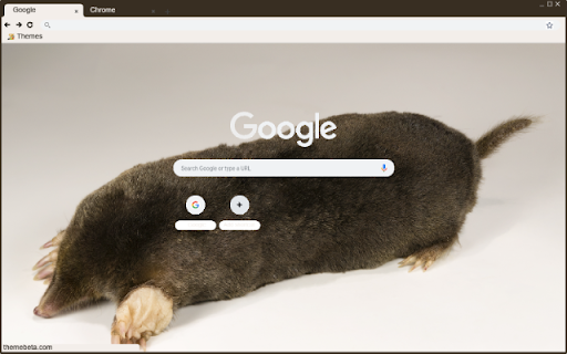 Chuot chui  from Chrome web store to be run with OffiDocs Chromium online