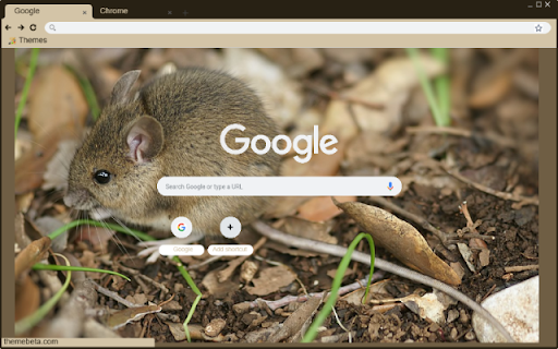 Chuot duoi dai  from Chrome web store to be run with OffiDocs Chromium online