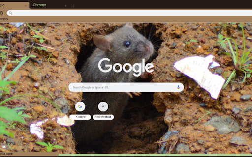 Chuot hang  from Chrome web store to be run with OffiDocs Chromium online