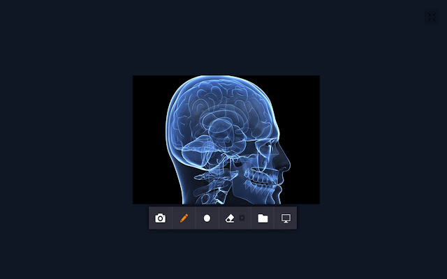 Ciketi Screen Sharing Chrome Extension  from Chrome web store to be run with OffiDocs Chromium online