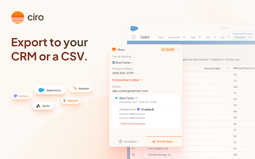 Ciro  from Chrome web store to be run with OffiDocs Chromium online