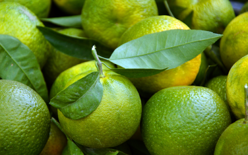 Citrus Garden: Green Gems Bursting with Zest  from Chrome web store to be run with OffiDocs Chromium online