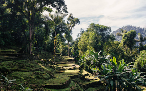Ciudad Perdida  from Chrome web store to be run with OffiDocs Chromium online