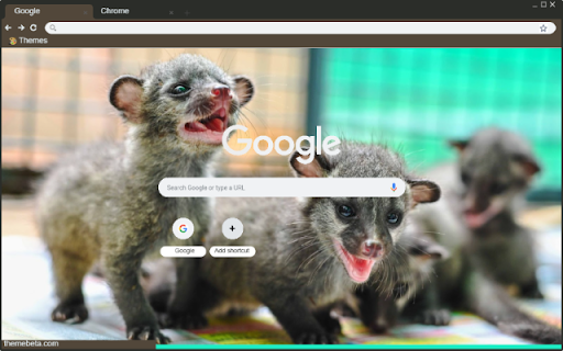 Civet  from Chrome web store to be run with OffiDocs Chromium online