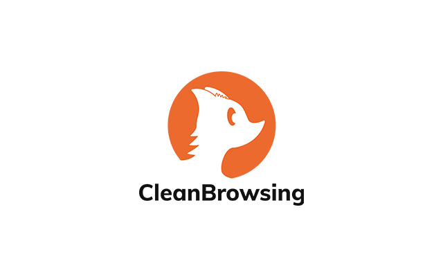 CleanBrowsing DNS Filtering for Schools  from Chrome web store to be run with OffiDocs Chromium online
