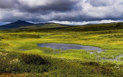 Clear puddle on grassland  from Chrome web store to be run with OffiDocs Chromium online