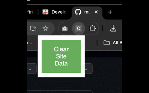 Clear Site Data  from Chrome web store to be run with OffiDocs Chromium online