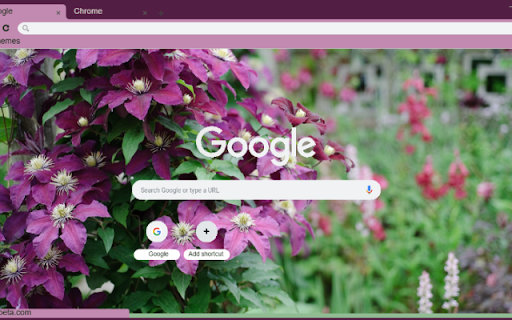 Clematis  from Chrome web store to be run with OffiDocs Chromium online