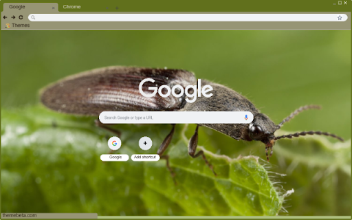 Click Beetle  from Chrome web store to be run with OffiDocs Chromium online