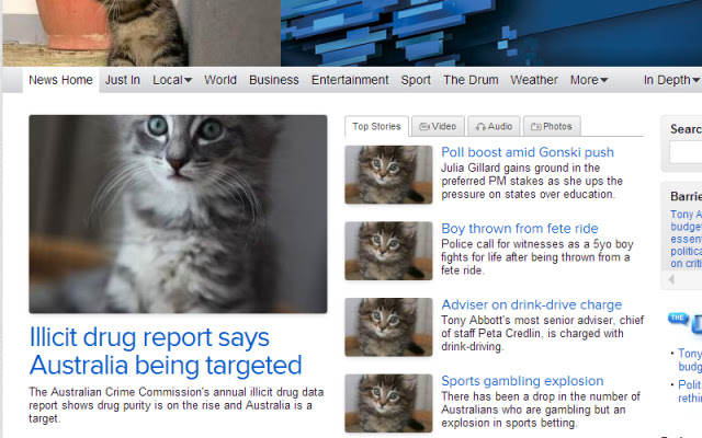Click for Kittens  from Chrome web store to be run with OffiDocs Chromium online
