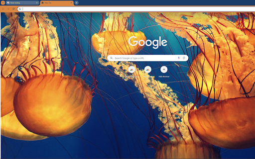 close up of a beautiful group of jellyfish  from Chrome web store to be run with OffiDocs Chromium online