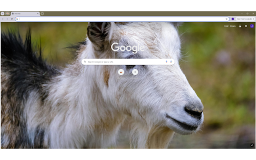 Close up of a Goat  from Chrome web store to be run with OffiDocs Chromium online