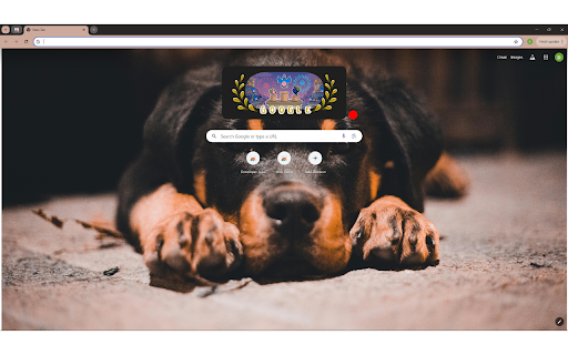 Close up of a Rottweiler  from Chrome web store to be run with OffiDocs Chromium online