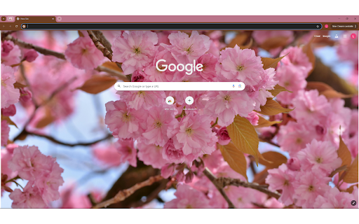 Close up of Cherry Blossoms  from Chrome web store to be run with OffiDocs Chromium online