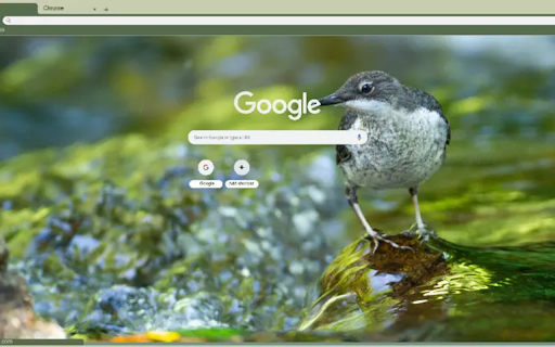 close up of diving bird  from Chrome web store to be run with OffiDocs Chromium online