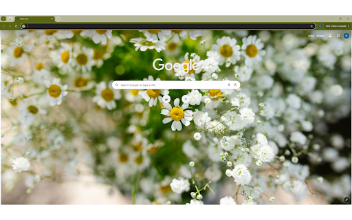 Close up of Feverfew Flowers  from Chrome web store to be run with OffiDocs Chromium online