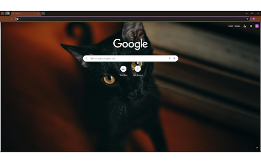 Close up Photography of Black Cat  from Chrome web store to be run with OffiDocs Chromium online