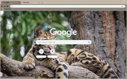 Clouded Leopard  from Chrome web store to be run with OffiDocs Chromium online