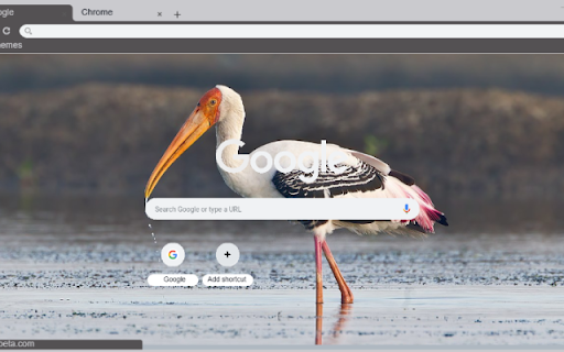Co  from Chrome web store to be run with OffiDocs Chromium online