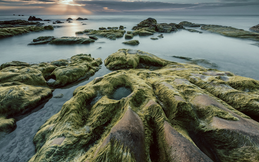 Coastal Serenity  from Chrome web store to be run with OffiDocs Chromium online