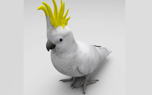 Cockatoo 3D  from Chrome web store to be run with OffiDocs Chromium online