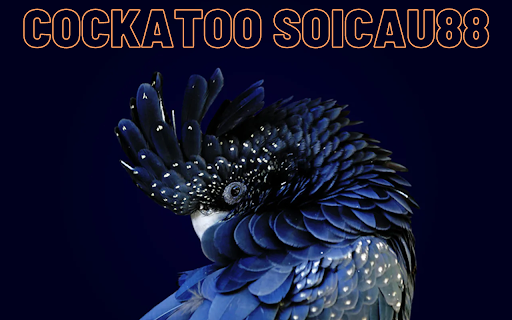 Cockatoo Soicau88  from Chrome web store to be run with OffiDocs Chromium online