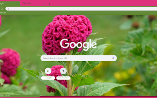 Cockscomb  from Chrome web store to be run with OffiDocs Chromium online
