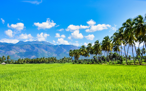 Coconut and rice  from Chrome web store to be run with OffiDocs Chromium online