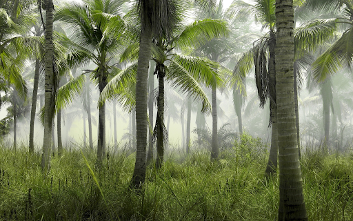 Coconut garden  from Chrome web store to be run with OffiDocs Chromium online