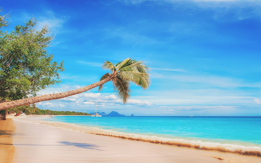 Coconut leaned forward  from Chrome web store to be run with OffiDocs Chromium online