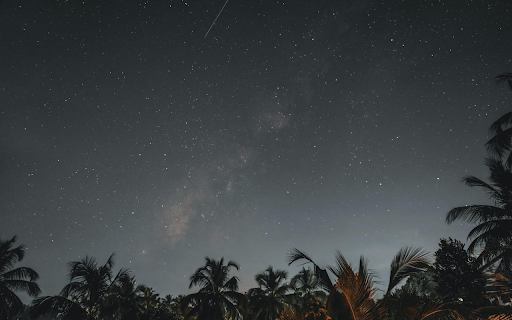 Coconut row at night  from Chrome web store to be run with OffiDocs Chromium online
